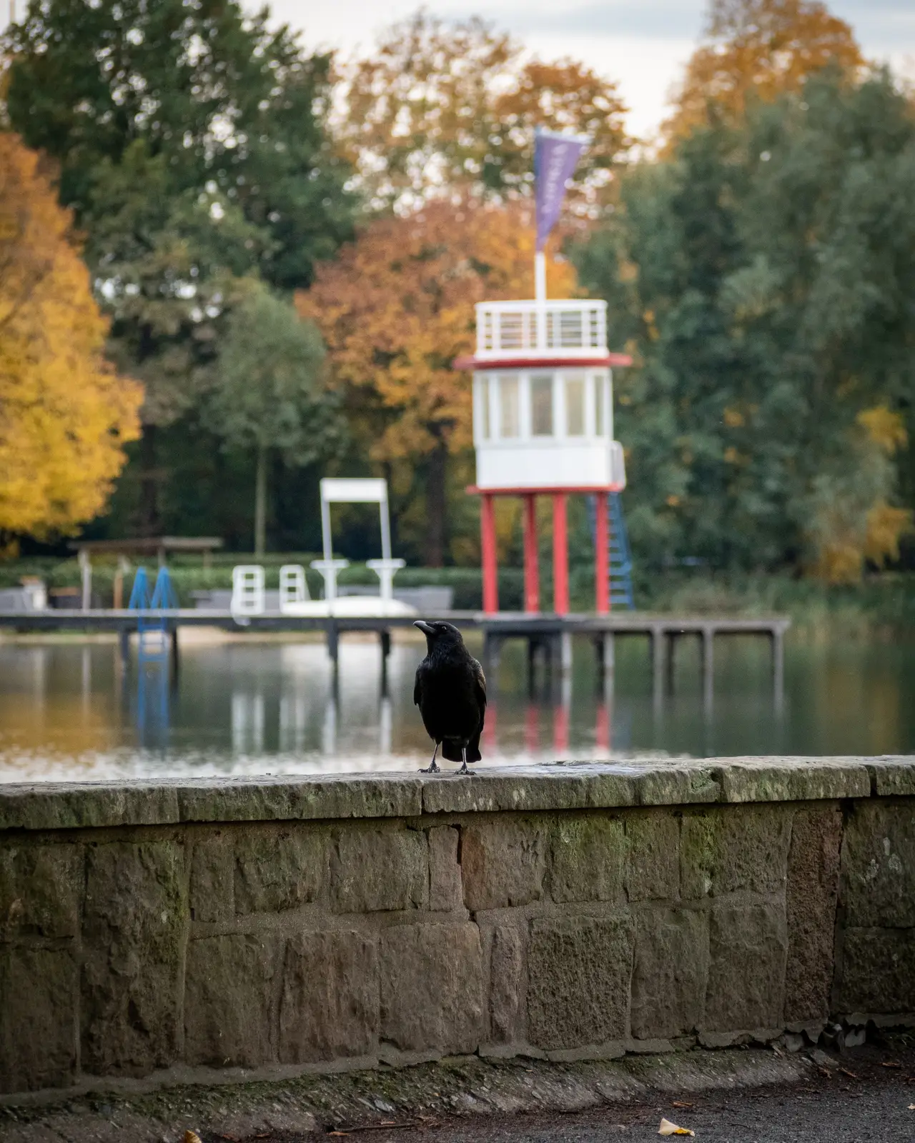 PA260729 Web.DbI7oRzL ZQqVpk